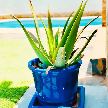 Rent Adventure Fuerteventura *